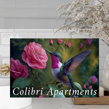 Colibri Apartamentos Vista Mar Мохакар Экстерьер фото