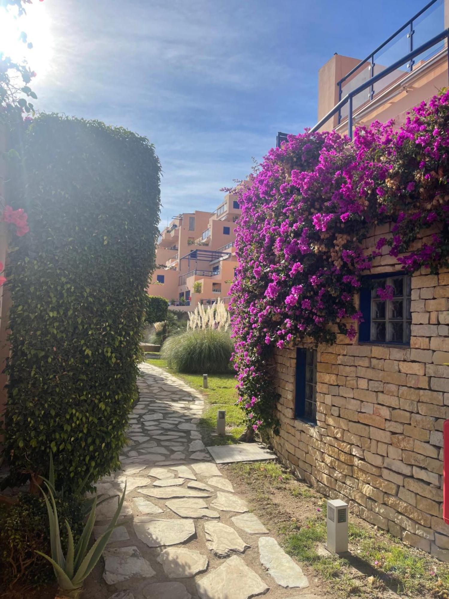 Colibri Apartamentos Vista Mar Мохакар Экстерьер фото